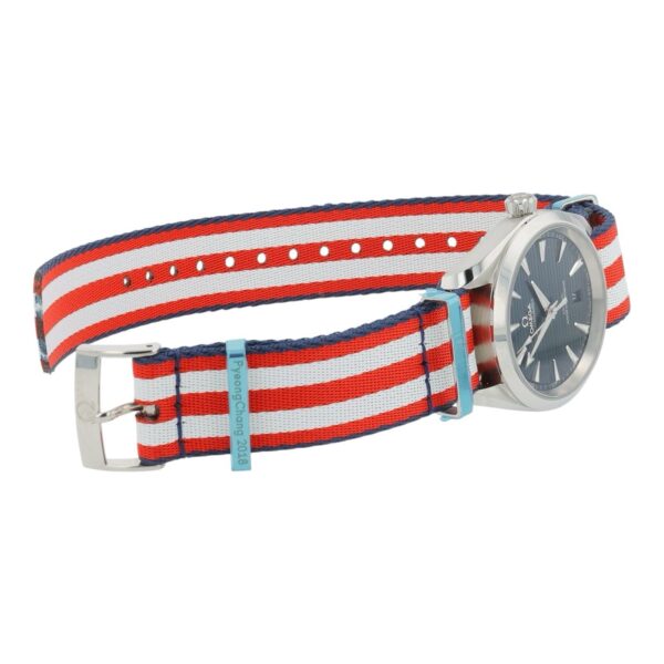 Omega Seamaster Stainless Steel Blue Dial 38mm Automatic 220.12.38.20.03.003