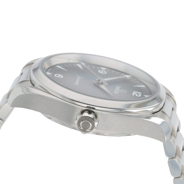Omega Seamaster Railmaster Steel Gray Dial 38mm Automatic 235.10.38.20.06.001